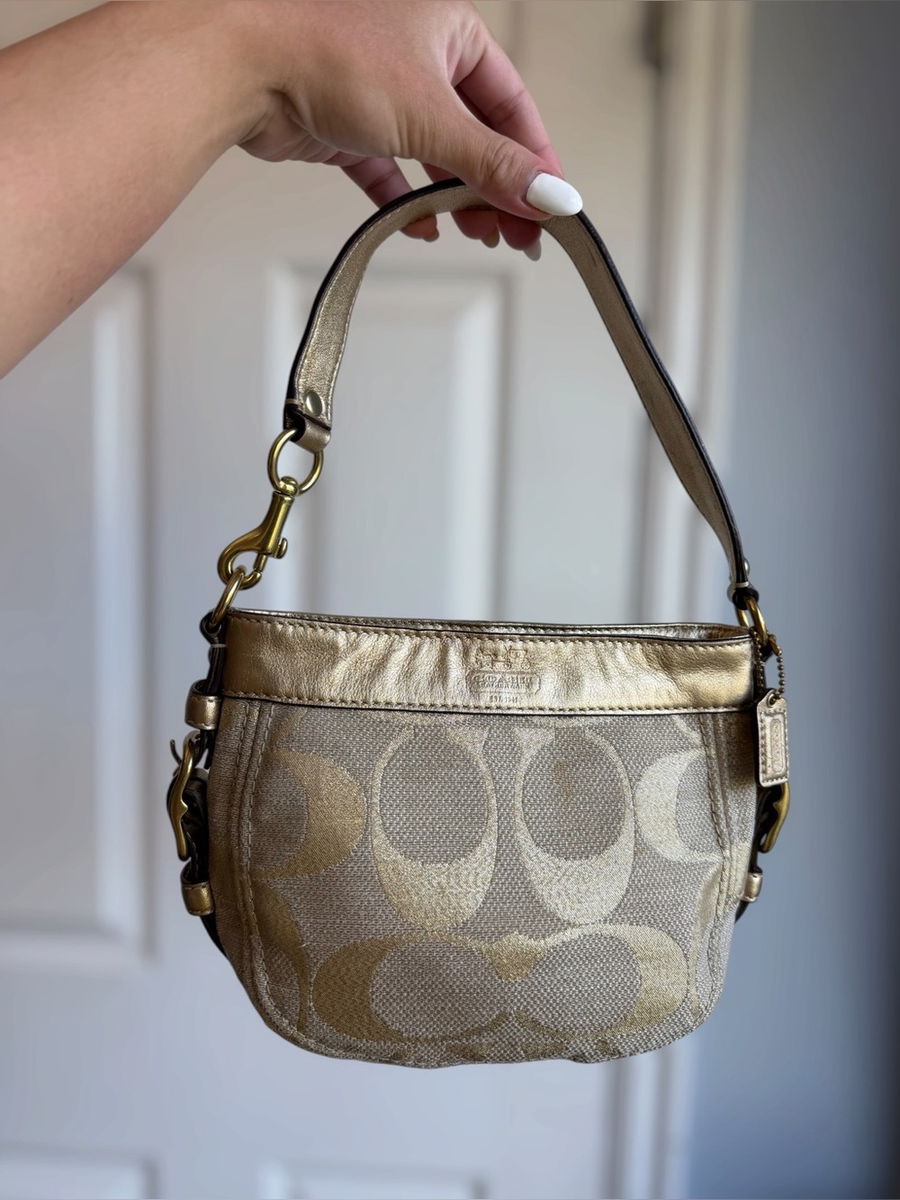 Coach Small Lurex Zoe Hobo 42588 Shimmer Shoulder Bag with Hangtag